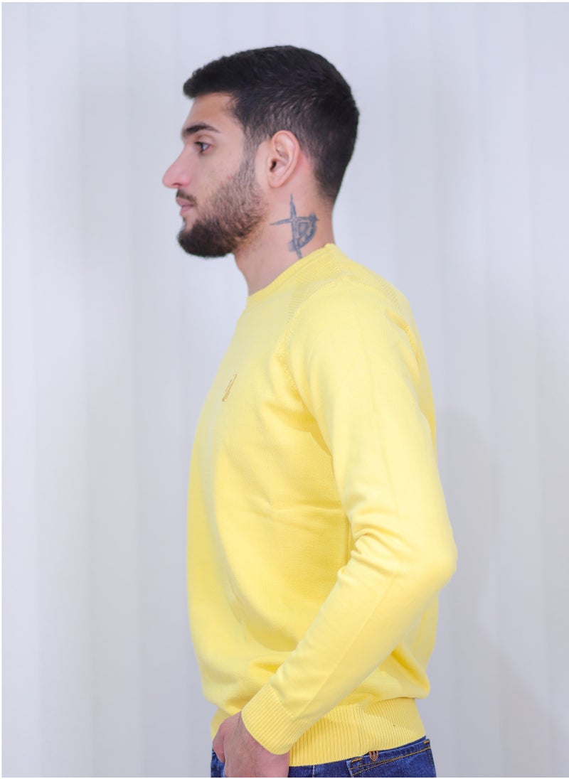 Men's Round neck sweater