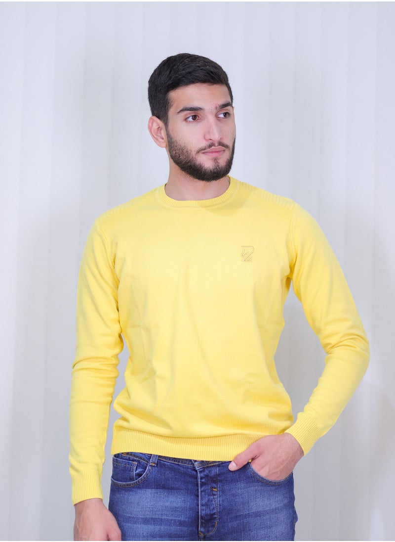 Men's Round neck sweater