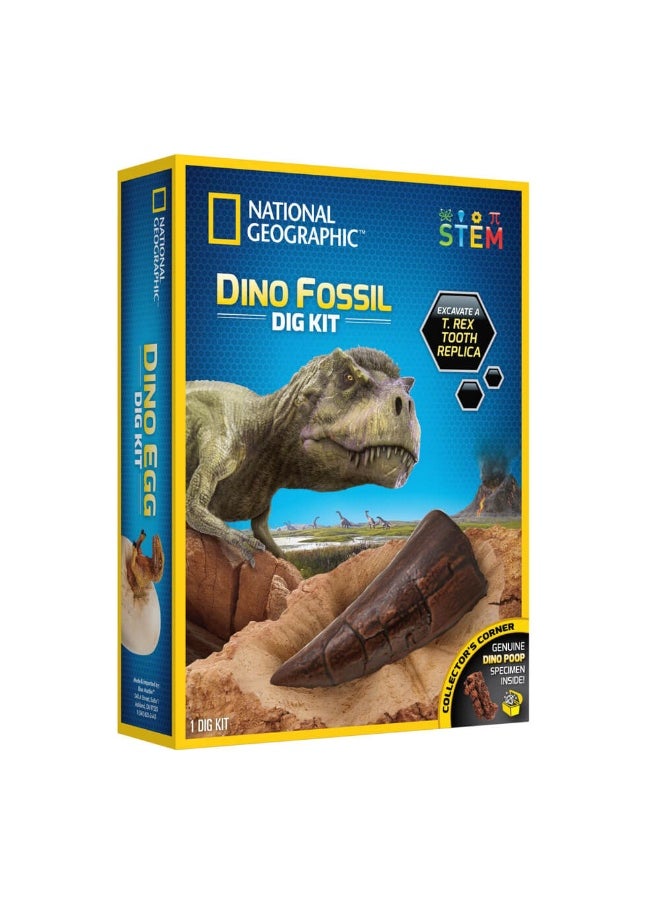 Dino Fossil Dig Kit
