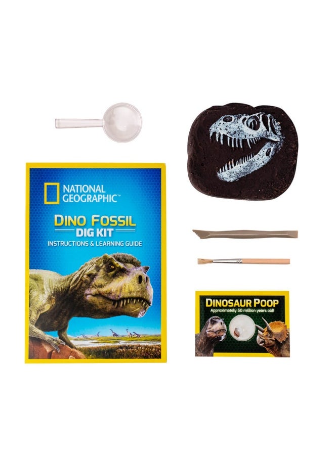 Dino Fossil Dig Kit