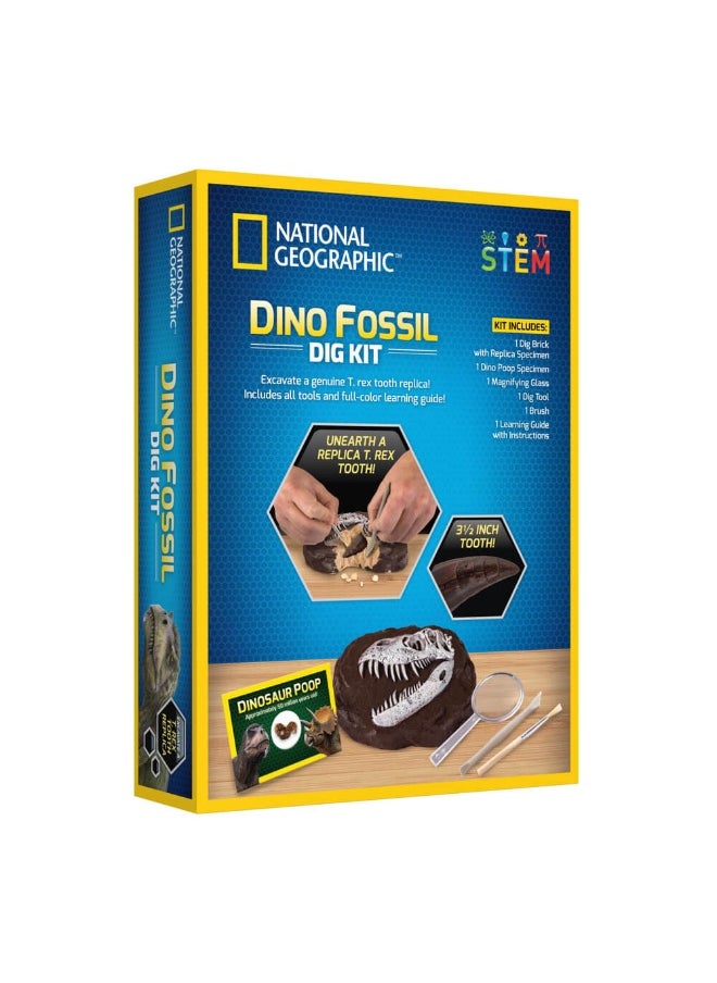 Dino Fossil Dig Kit