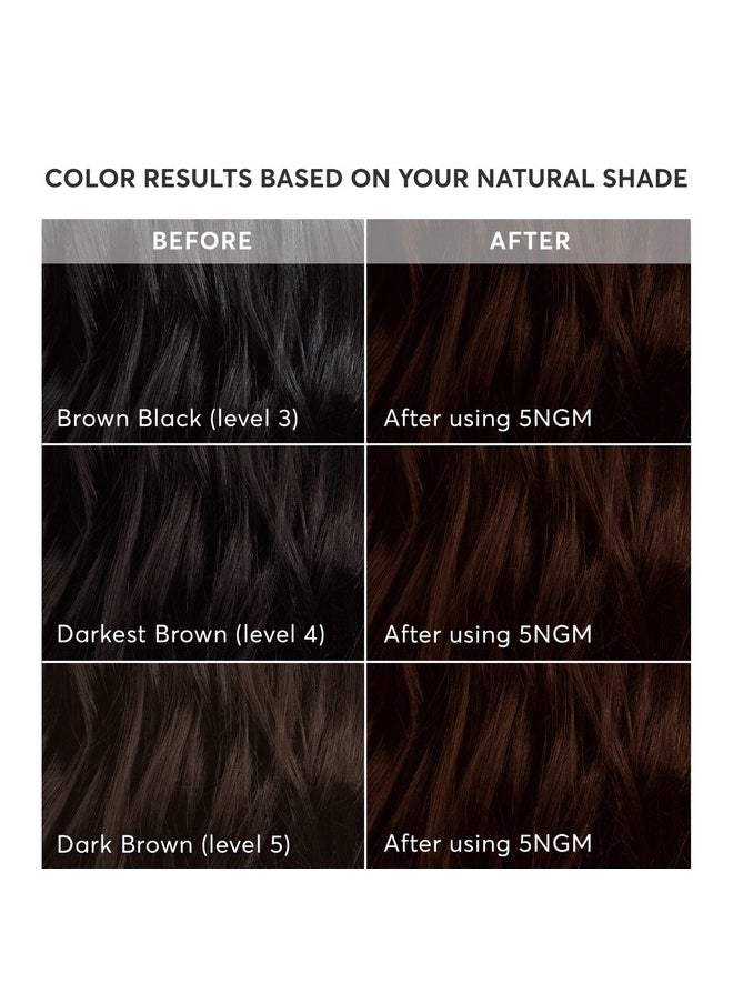 Radiant Hair Color Kit, Blackest Black For 100% Gray Coverage, Ammoniafree, 2Nna Pescara Black, Permanent Hair Dye, Pack Of 2