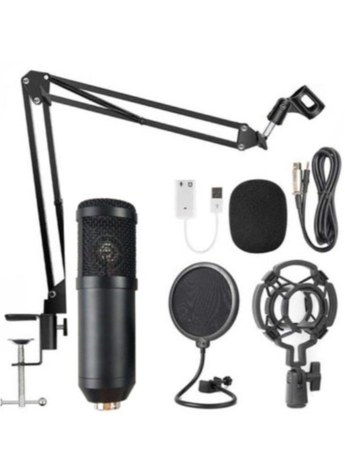 BM800 Professional Suspension Microphone Set