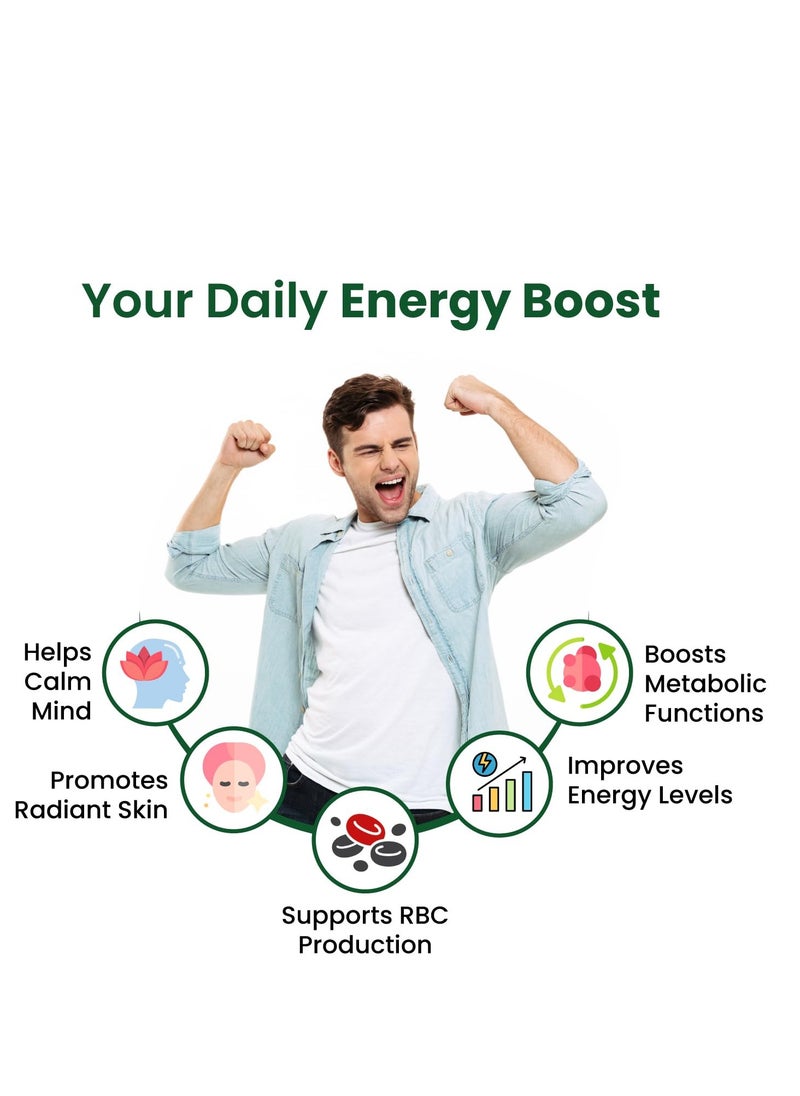 Himalayan Organics Vitamin B Complex (B1, B2, B3, B5, B6, B7, B9 & B12) Energy and cognitive support, 120 Veg Tablets