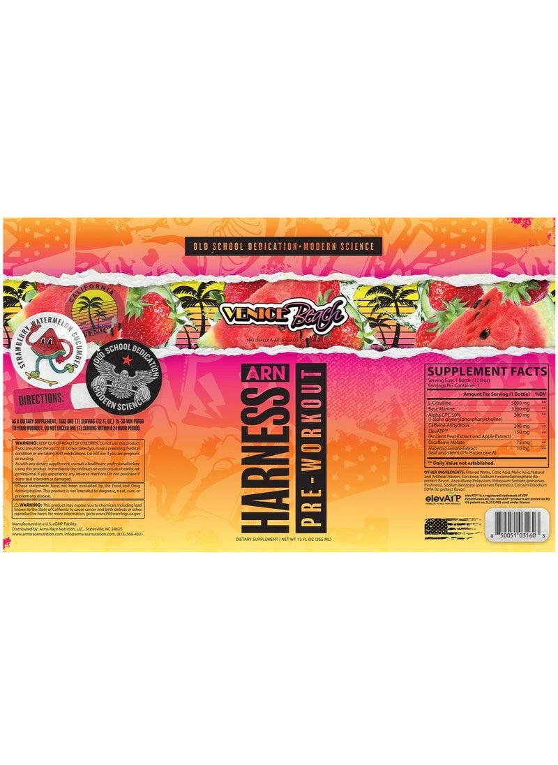 ARN Harness Pre-Workout Drink Venice Beach Flavor 12 x 355ml