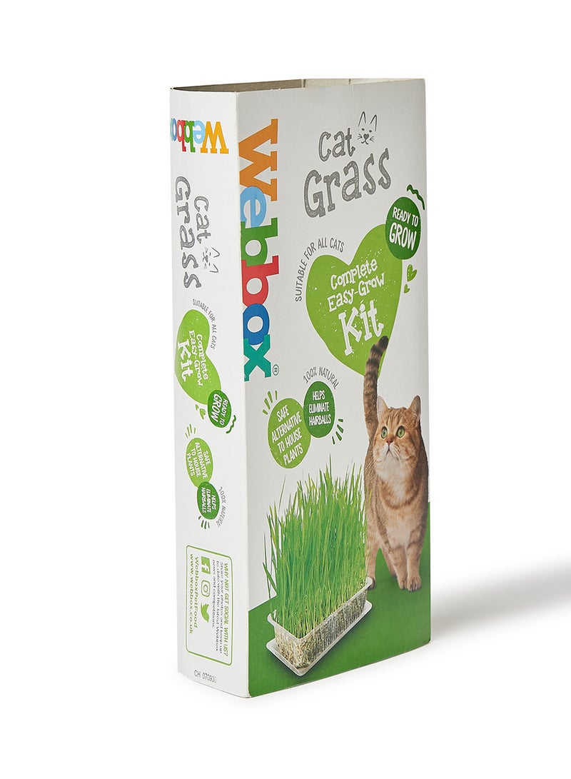 Cat Grass 120grams