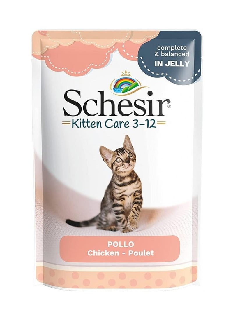 Schesir, Kitten Care, 3-12 in Jelly Chicken Pouch - 85g X 20Pouch in 1BOX