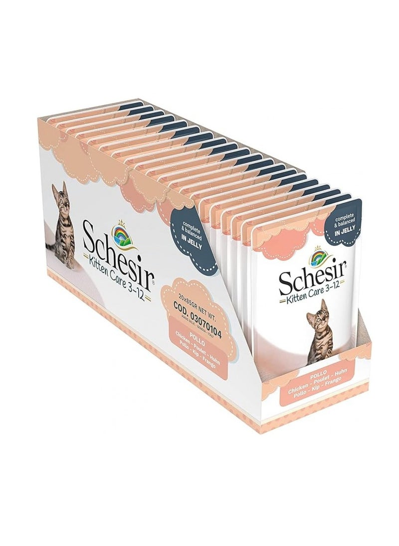 Schesir, Kitten Care, 3-12 in Jelly Chicken Pouch - 85g X 20Pouch in 1BOX