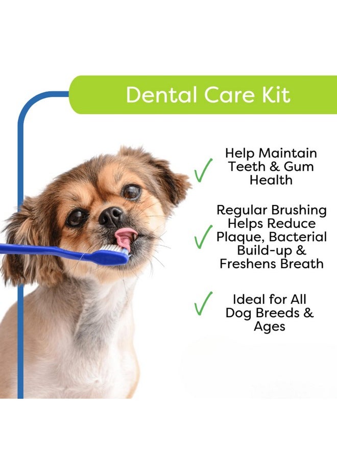 Oral Care Toothpaste Kit For Cats And Dogs 4 Piece Set With Finger Brush Of Formulated For Dog Helps Maintain Clean Teeth & Gum Health