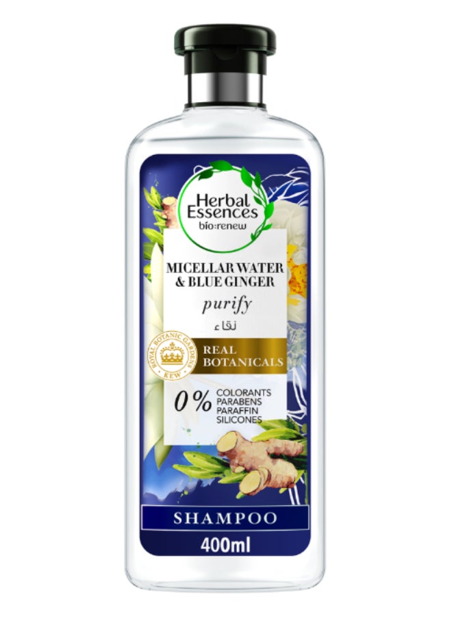 Micellar Water And Blue Ginger Shampoo Multicolour 400ml