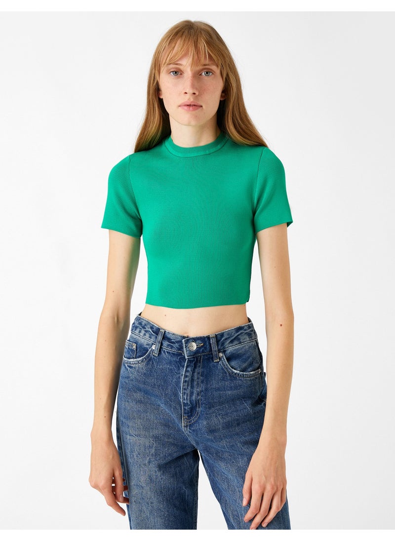 Crop Knitwear Sweater Short Sleeve