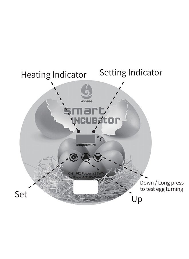 Egg Incubator, Led Egg Test Lamp, Farm Poultry, Bird, Quail Hatcher Turner, with Automatic Egg Turning,  Clear Lid Easy to Wash, Can Accommodate 12 Eggs