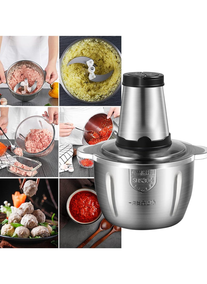 Electric Meat Grinder 3L Multi Function Stainless Steel Food Processor for Meat Vegetables Fruits Nuts 2-Speed Control