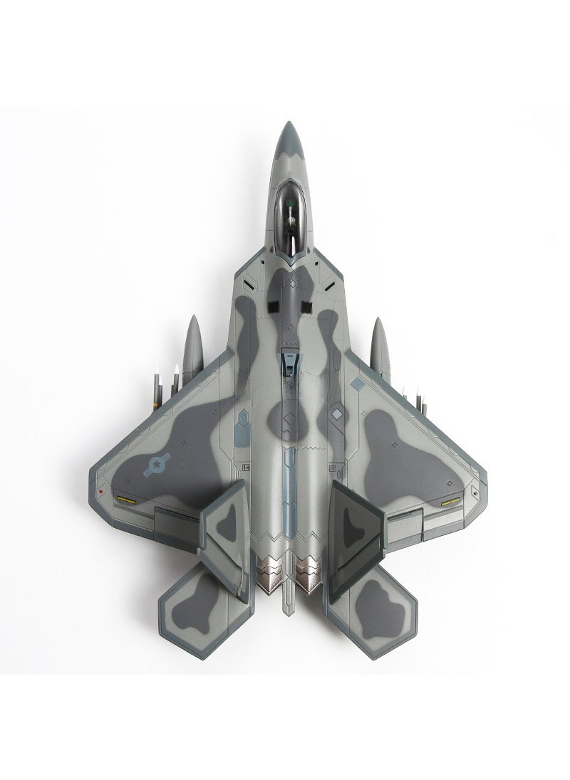 Terebo Terbo F22 fighter model simulation alloy aircraft model pendulum model AK Painting