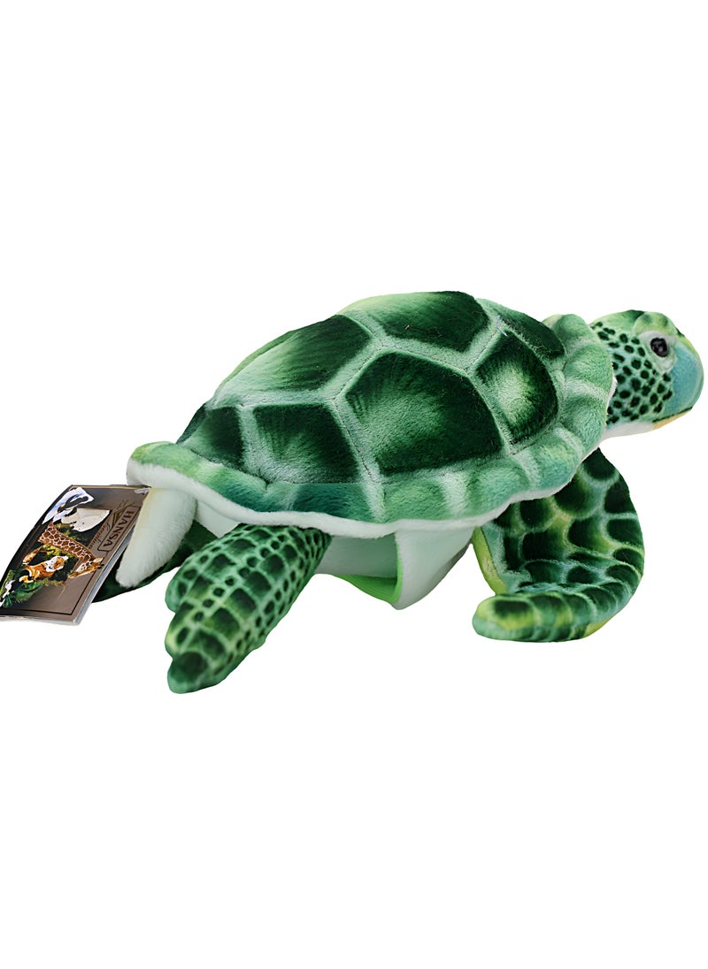 Green Turtle Puppet – Realistic Handcrafted Animal Puppet for Interactive Play and Storytelling, Ideal for Teachers and Kids