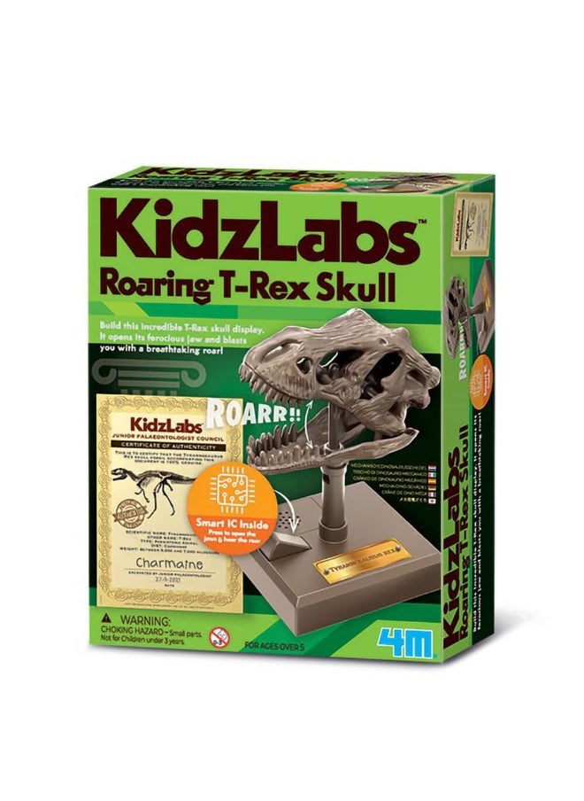 4M KidzLabs Roaring T-Rex Dinosaur Skull