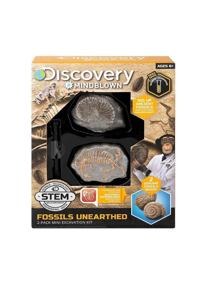 Discovery Mindblown Action Circuitry Robot Spinner Experiment Kit + Mini Shark Tooth Excavation Kit + Mini Fossil Excavation Kit Bundle