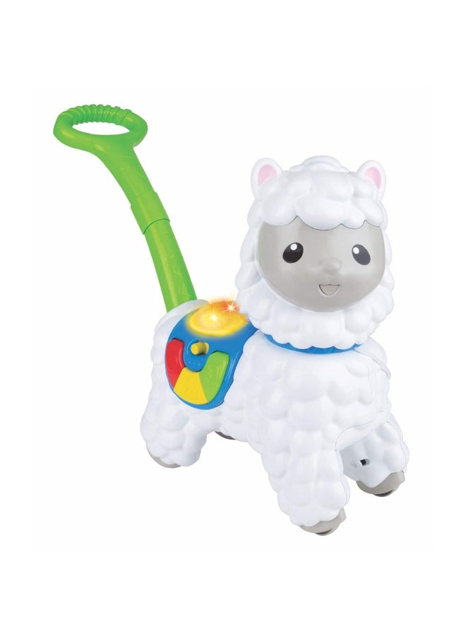 Winfun Push-Along Little Alpaca Toy