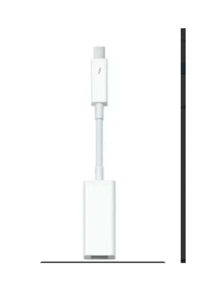 Thunderbolt To FireWire Adapter