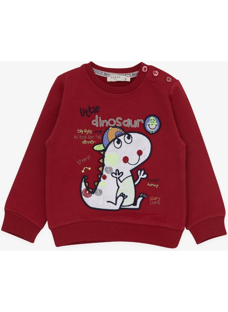 Breeze Boy's Tracksuit Set with Little Dinosaur Embroidery, 1-4 Years, Red