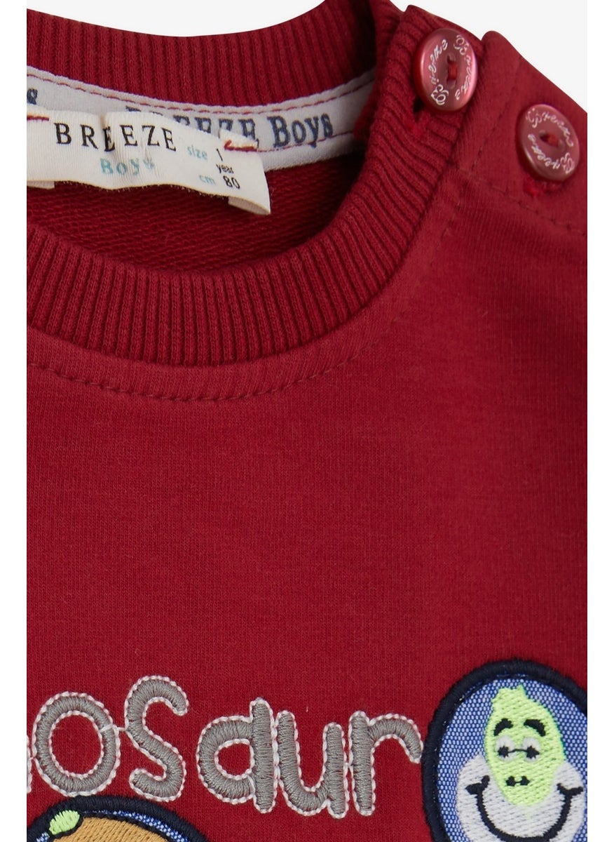 Breeze Boy's Tracksuit Set with Little Dinosaur Embroidery, 1-4 Years, Red