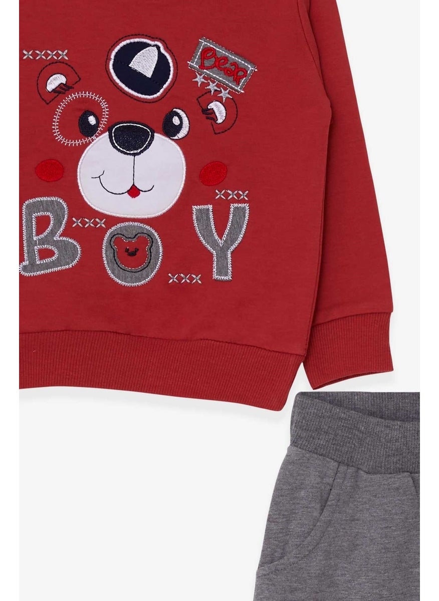 Breeze Boy's Tracksuit Set Tile With Teddy Bear Figure (Age 1-4)