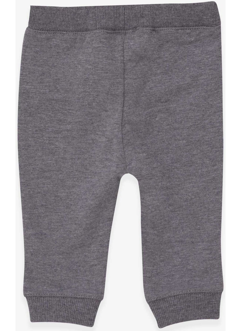 Breeze Baby Boy Sweatpants Text Printed Gray Melange (9 Months-3 Years)