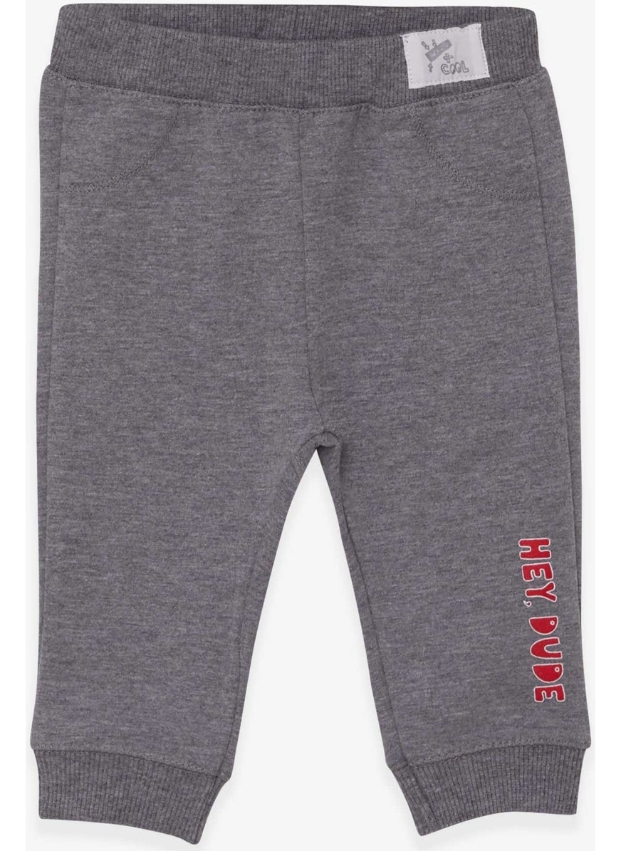 Breeze Baby Boy Sweatpants Text Printed Gray Melange (9 Months-3 Years)