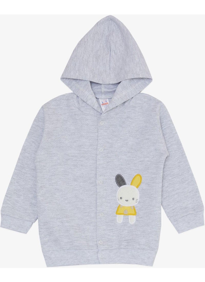 Breeze Baby Boy Bodysuit 3 Piece Set Cute Bunny Embroidered Hoodie 4 Months-1 Years, Light Gray Melange