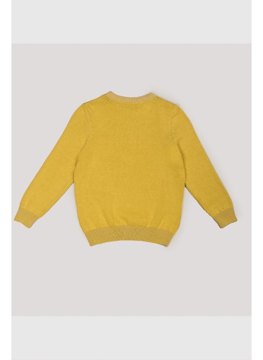 Kids Crew Neck Sweater (C21-18345)