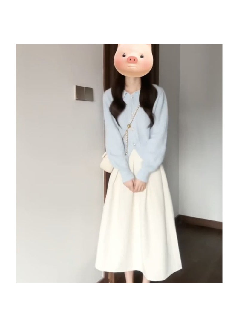 Petite Knit Cardigan Sweater  Pleated Skirt Set Two-piece set [sweater + skirt]