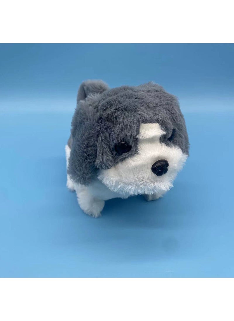 Interactive Teddy Dog Plush ToyGray Dog (medium) Gray Dog (medium)