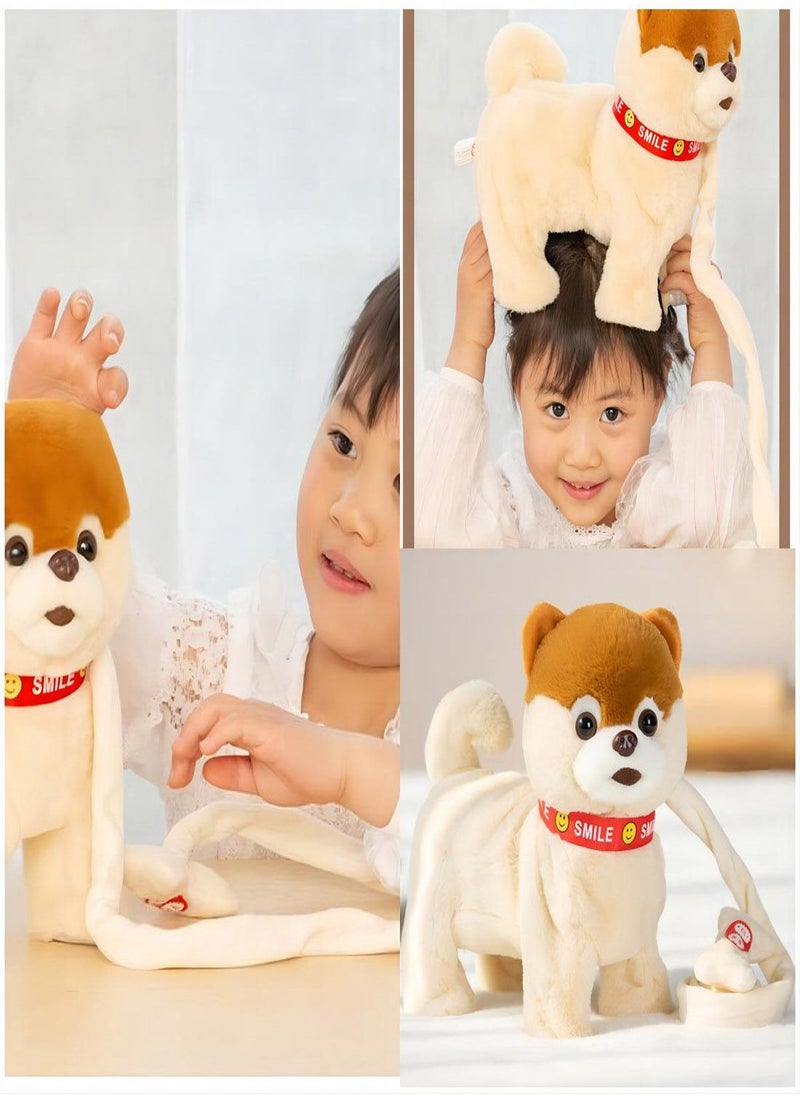 Walking Dog Toy, Musical Singing Dancing Plush Interactive Dog Walk Along Toy Puppy, with Leash Dog Robot Plush Stuffed Animal Shaking Toy for Boys Girls, Stuffed Electronic Pet for Kids