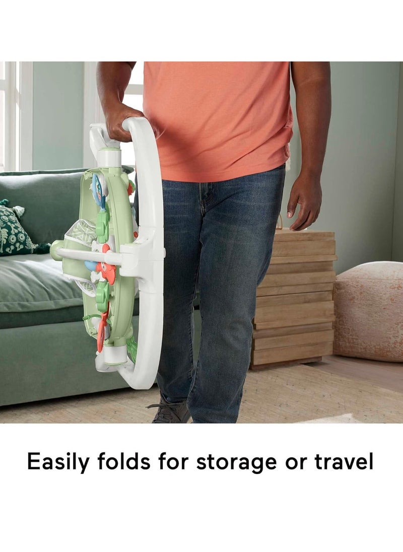 Fisher-Price Baby Bouncer SpaceSaver Jumperoo Musical Activity Center with Lights Sounds & Developmental Toys, Puppy Perfection