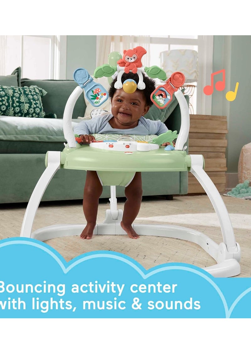 Fisher-Price Baby Bouncer SpaceSaver Jumperoo Musical Activity Center with Lights Sounds & Developmental Toys, Puppy Perfection
