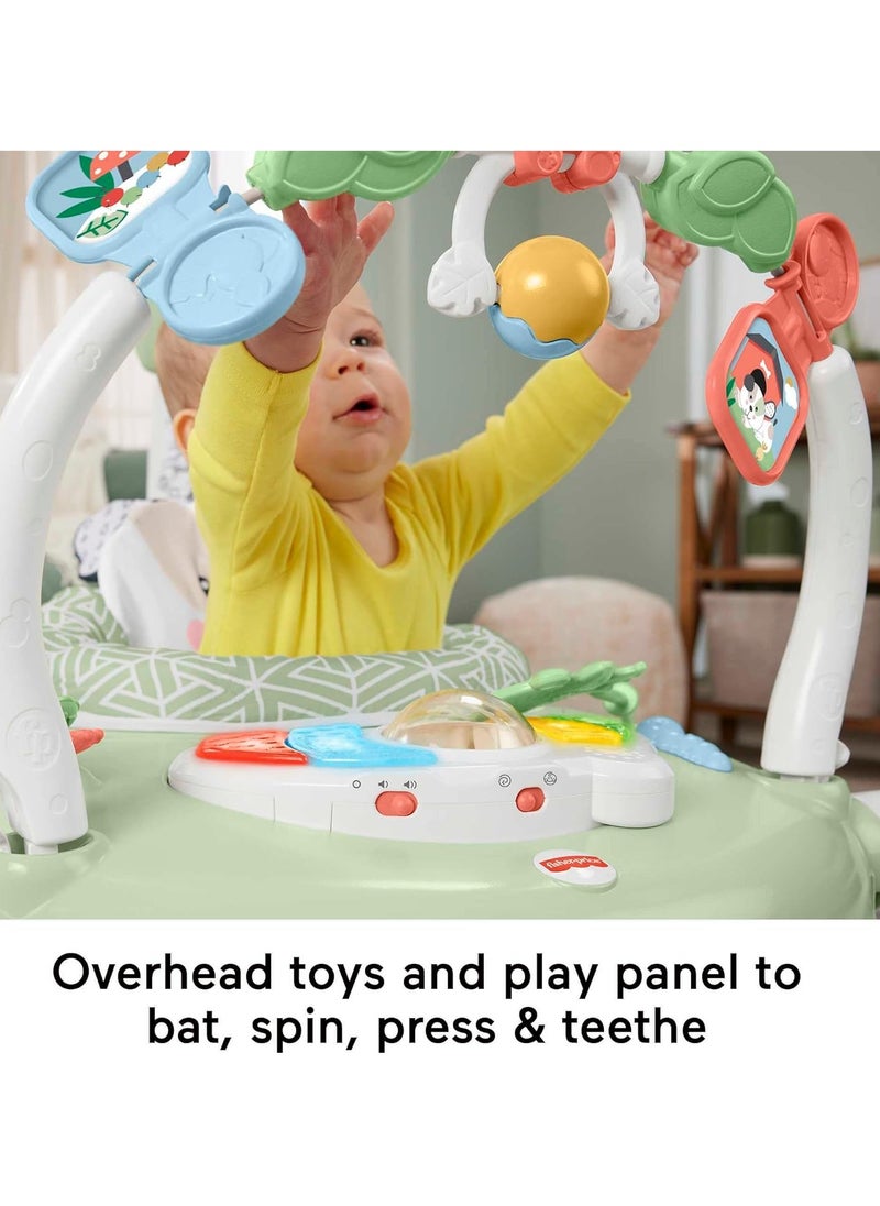 Fisher-Price Baby Bouncer SpaceSaver Jumperoo Musical Activity Center with Lights Sounds & Developmental Toys, Puppy Perfection