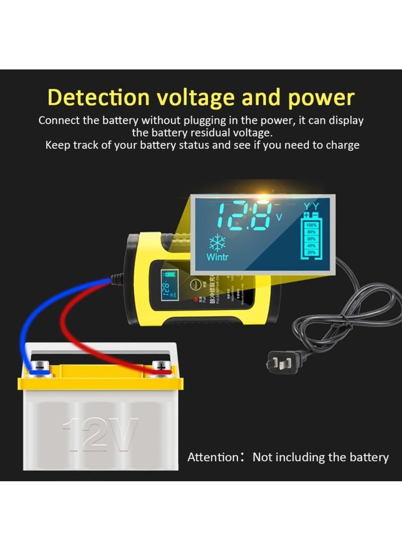 Pulse Repair Charger with Digital LCD Display