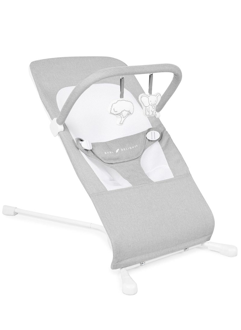 Baby Delight Highland Baby Bouncer | Infant | 0 – 6 Months | 3-Position Recline | Pebble Grey