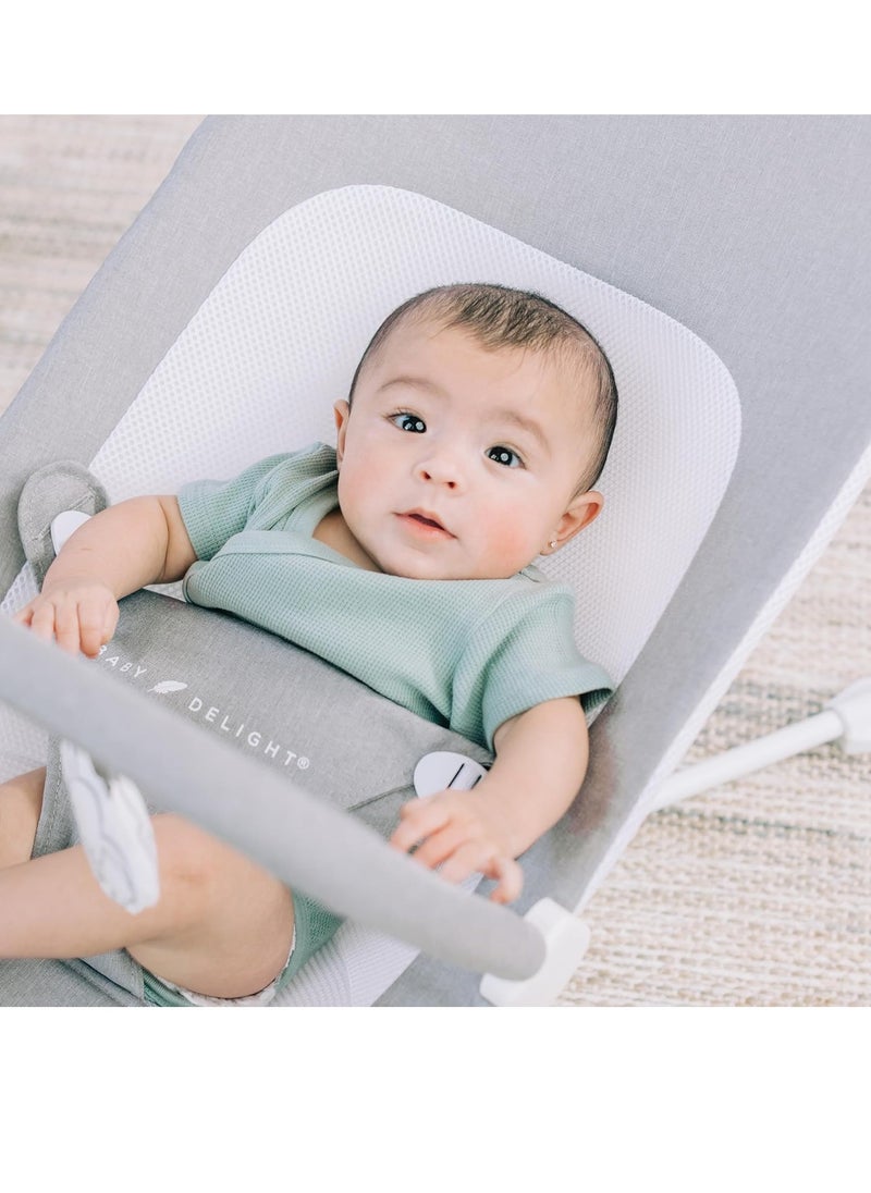 Baby Delight Highland Baby Bouncer | Infant | 0 – 6 Months | 3-Position Recline | Pebble Grey