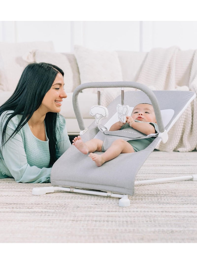 Baby Delight Highland Baby Bouncer | Infant | 0 – 6 Months | 3-Position Recline | Pebble Grey