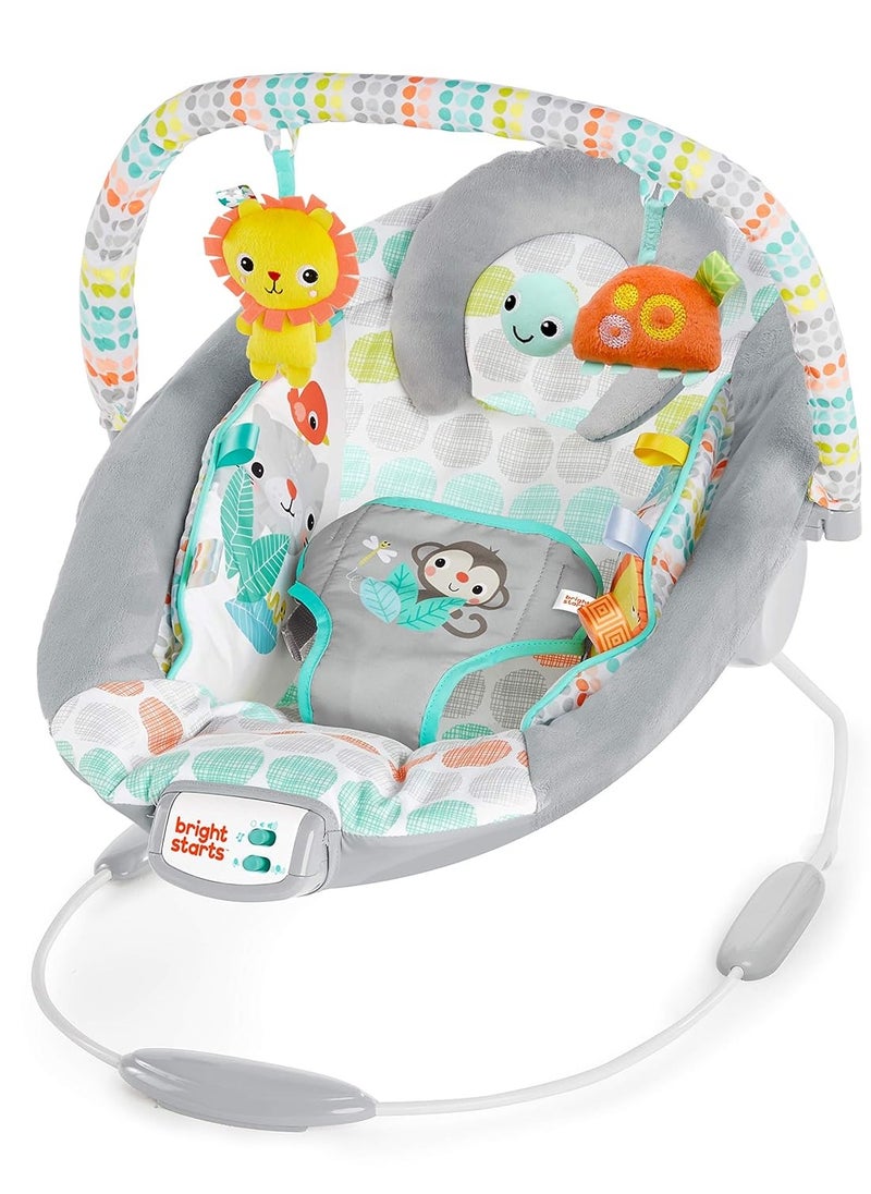 Bright Starts Comfy Baby Bouncer Soothing Vibrations Infant Seat - Taggies, Music, Removable -Toy Bar, 0-6 Months Up to 20 lbs (Whimsical Wild)