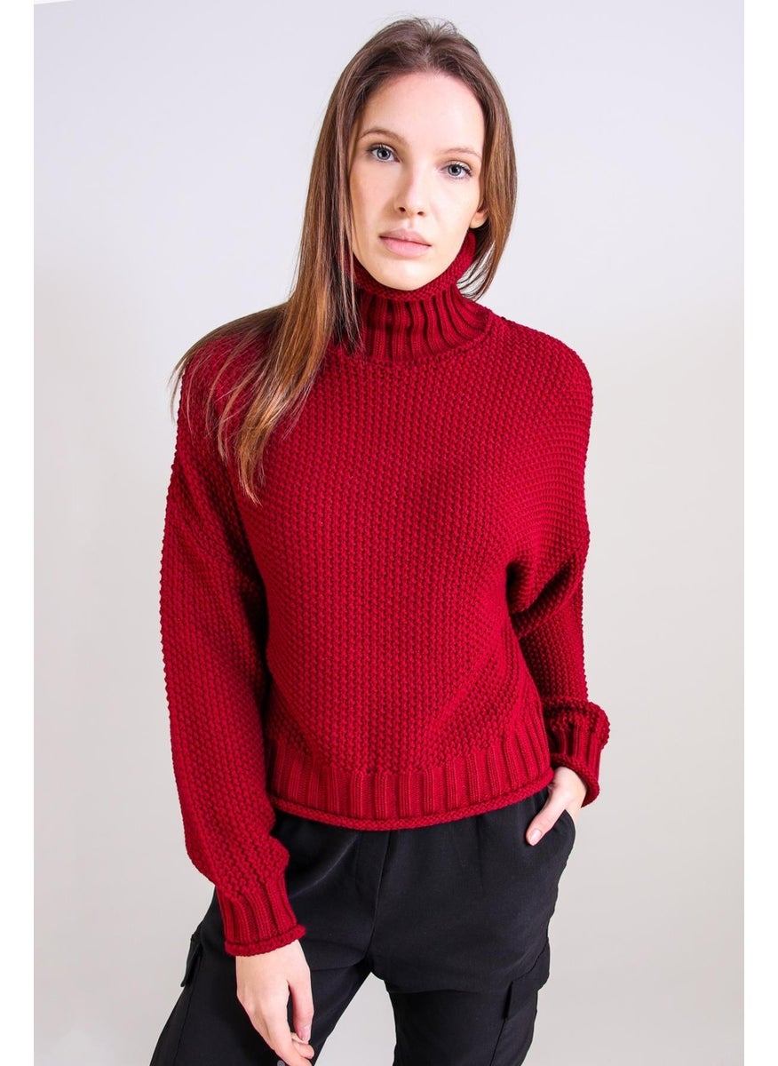 Alexandergardı Turtleneck Knitwear Sweater (B20-18842)