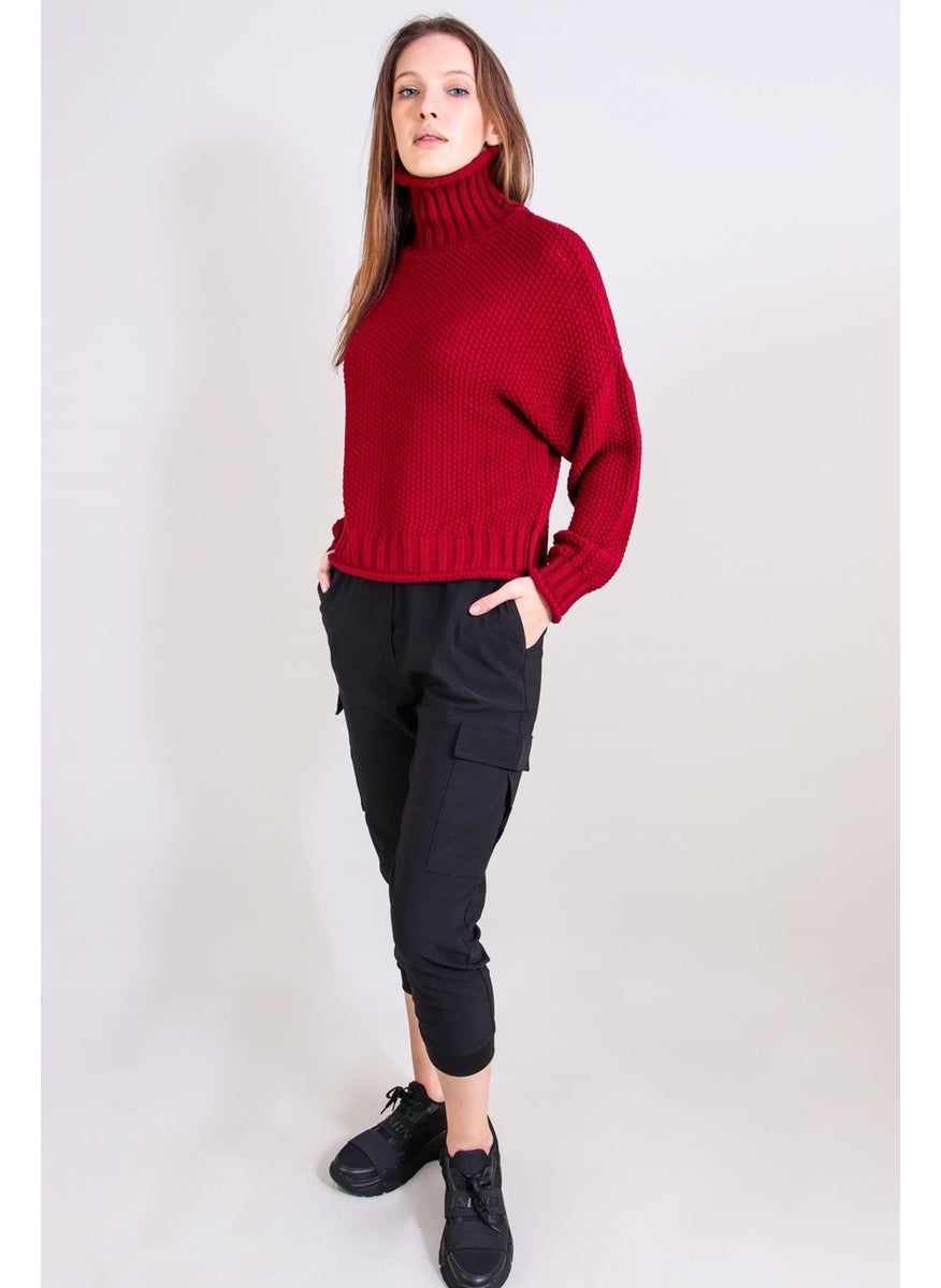 Alexandergardı Turtleneck Knitwear Sweater (B20-18842)