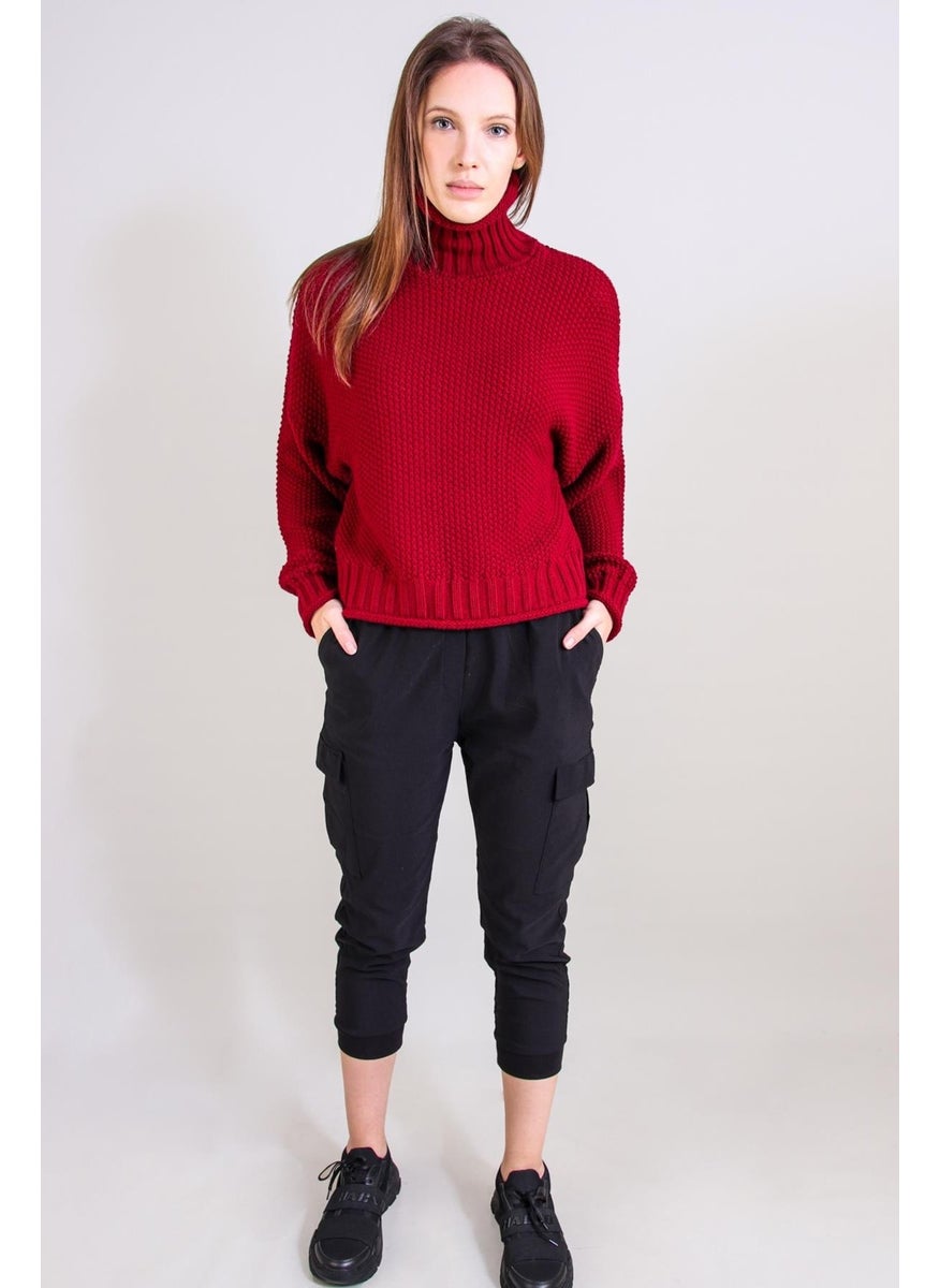 Alexandergardı Turtleneck Knitwear Sweater (B20-18842)