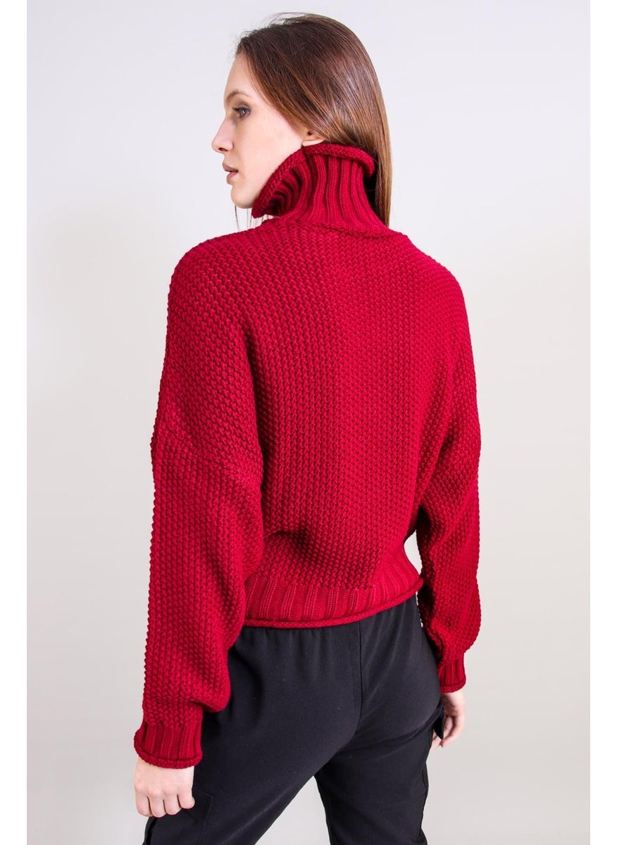 Alexandergardı Turtleneck Knitwear Sweater (B20-18842)