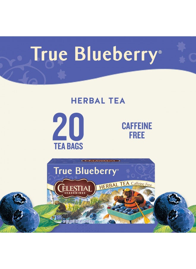 Celestial Seasonings Herbal Tea, True Blueberry, 20 Count (Pack of 6)