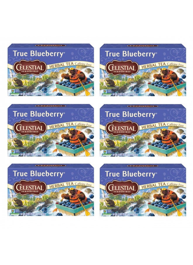 Celestial Seasonings Herbal Tea, True Blueberry, 20 Count (Pack of 6)