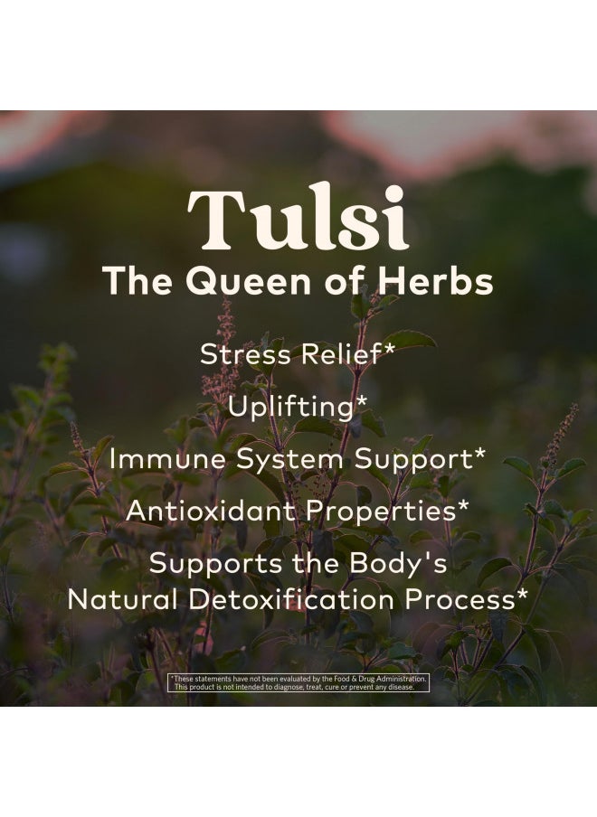 Organic India Tulsi Sweet Rose Herbal Tea - Holy Basil, Stress Relieving & Magical, Immune Support, Adaptogen, Vegan, USDA Certified Organic, Non-GMO, Caffeine-Free - 3.5 oz Canister