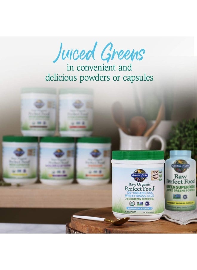 Raw Organic Perfect Food 100% Organic Usa Wheat Grass Juice Juiced Green Superfood Greens Powder 60 Servings