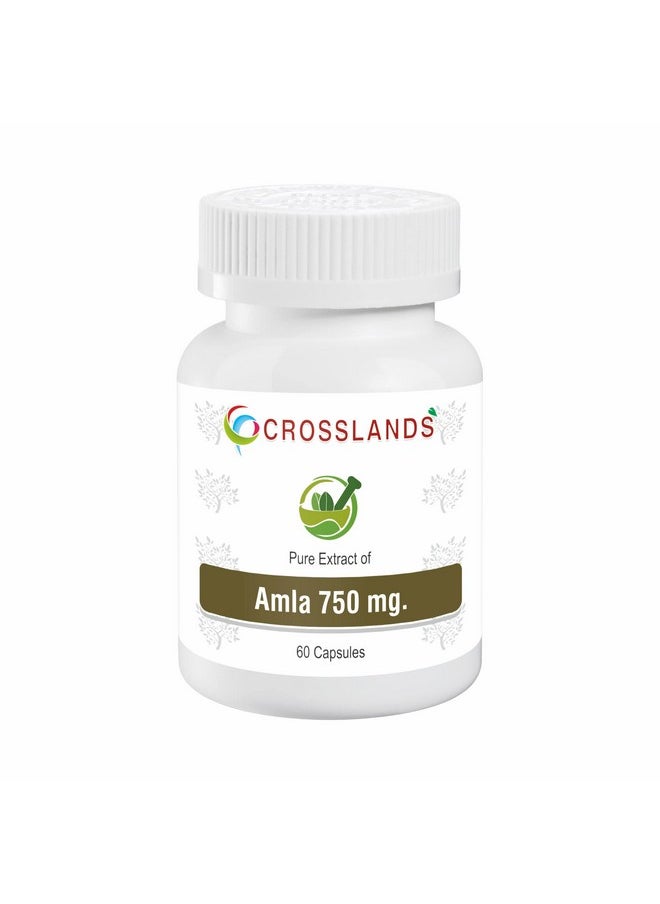 Pure Extract Of Amla Capsules | 750Mg | Natural Antioxidant | Immunity Enhancer | Natural Source Of Vitamin C | Hair Growth Herbal Supplement | Improve Heart Health & Lower Cardiac Risk | Maintain Tryglycerides Levels | Reduce Visceral Fat | 60 Capsules